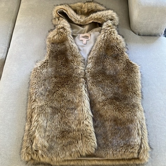 Forever 21 Large Faux Fur Vest with Hood - Picture 3 of 9